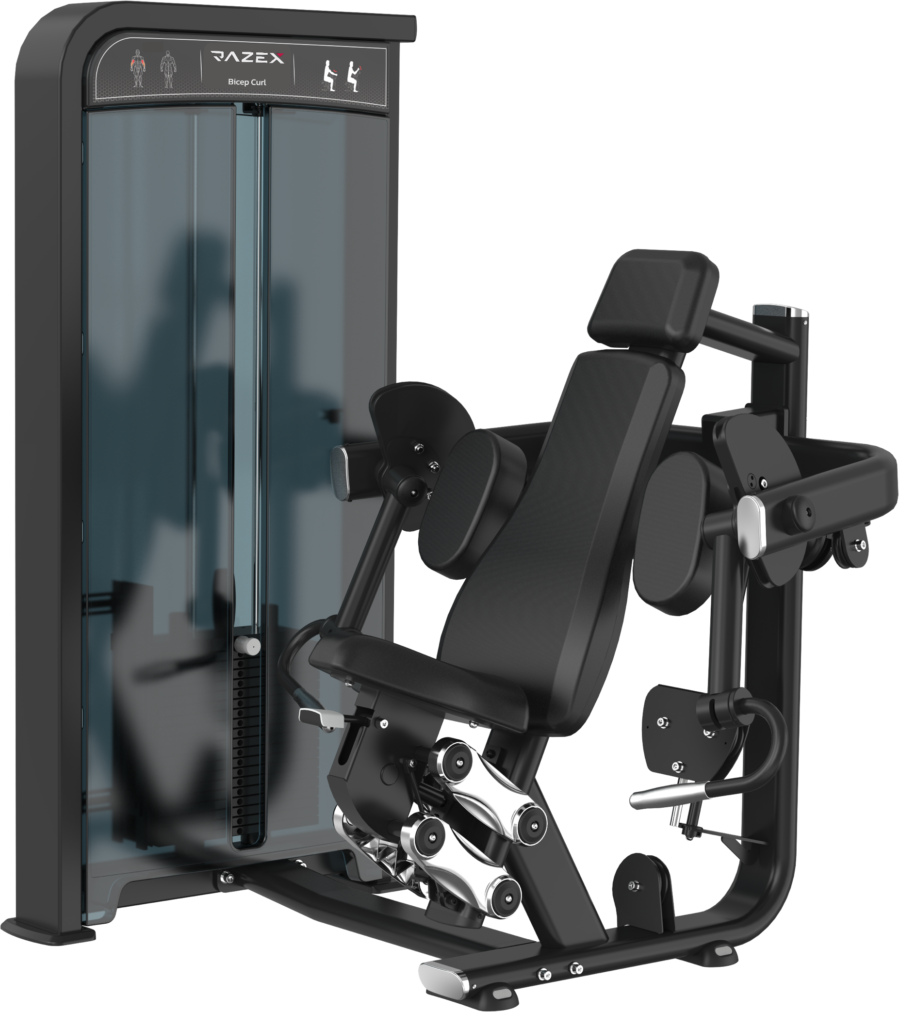 Bicep Curl